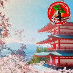 Unsere Japan Koi Einkaufsreisen