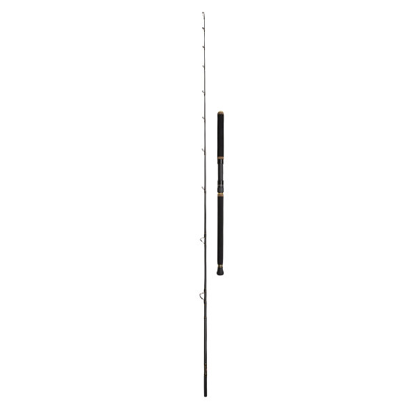 Penn REGIMENTII HALIBUT 50LB