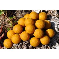 Killer Baits Caranana Boilies 3,5 kg Eimer 20mm