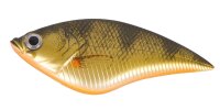 IC Doiyo Sosa 71 SP