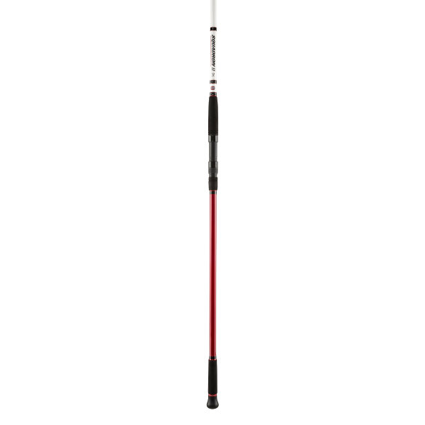 Penn Squadron 2 Surf 423 100-250g