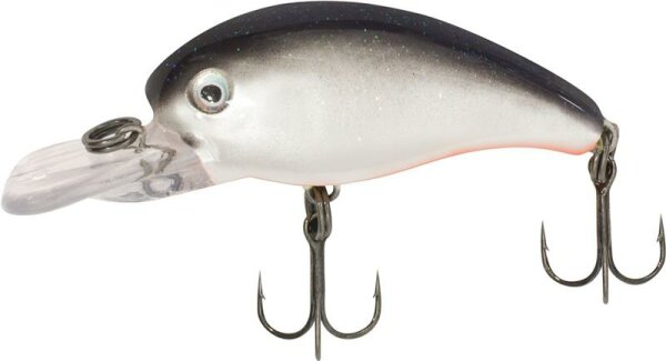 Quantum Baby 8 minus Real Shiner