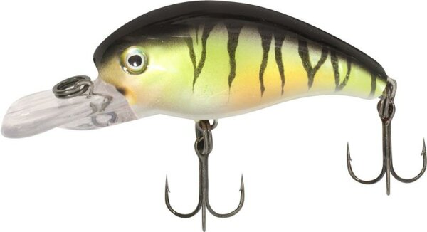 Quantum Baby 8 Minus Perch