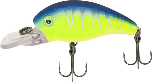 Quantum Baby 8 Minus BlueTiger
