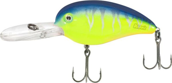 Quantum Loudmouth l Blue Tiger