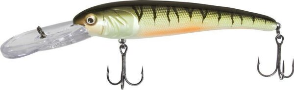 Quantum Stretch 15 +Perch