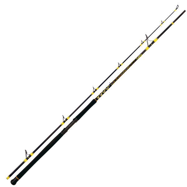 Black Cat Passion Pro DX Spin 2,70m 200g