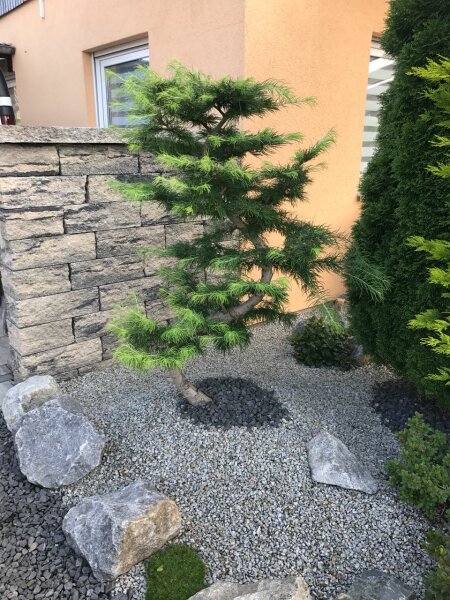 Gartengestaltung rund ums Haus in Pohlitz bei Eisenhüttenstadt