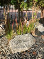 Gartengestaltung rund ums Haus in Pohlitz bei Eisenhüttenstadt