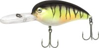 Quantum Loudmouth l Perch