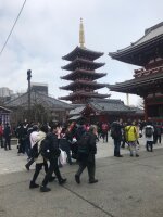 Japan Reise Januar 2018