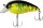 Quantum  Loudmouth ll Magic green