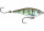 Rapala Saltwater X-Rap Twitchin Mullet 6cm 9g Pinfish