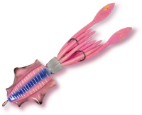 Rhino Squid 200g 30cm Pinky